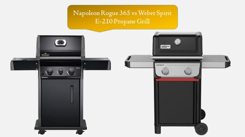 Napoleon Rogue 365 vs Weber Spirit E-210