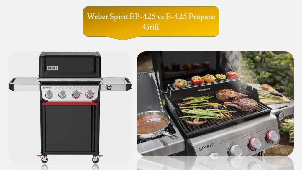 Weber Spirit EP-425 vs E-425