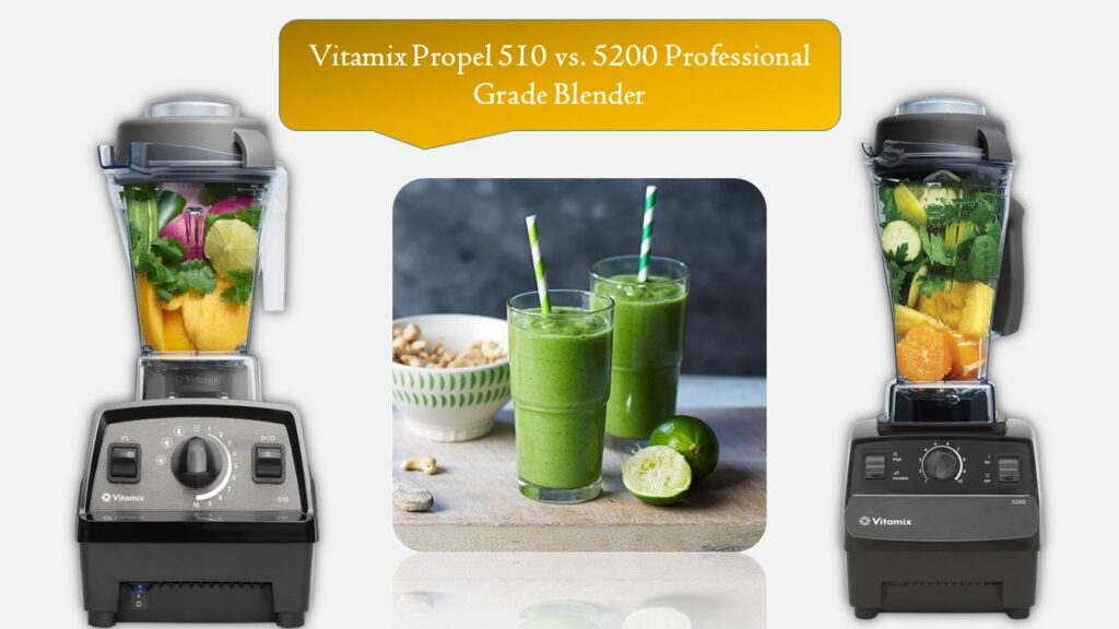 Vitamix Propel 510 vs. 5200 Professional Grade Blender