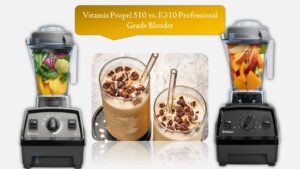 Vitamix Propel 510 vs. E310 Professional Grade Blender